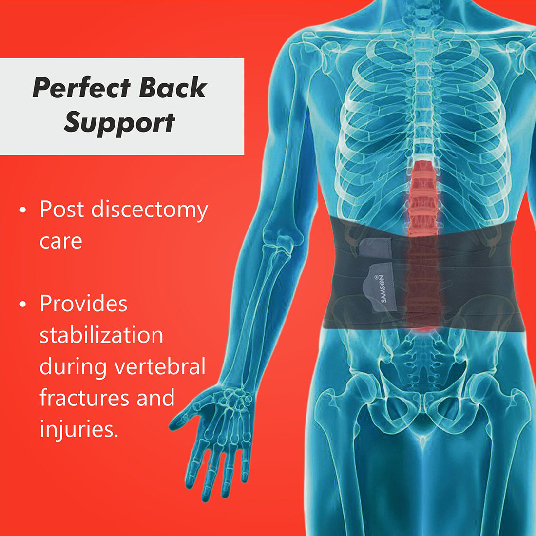 Contoured Lumbo Sacral Support