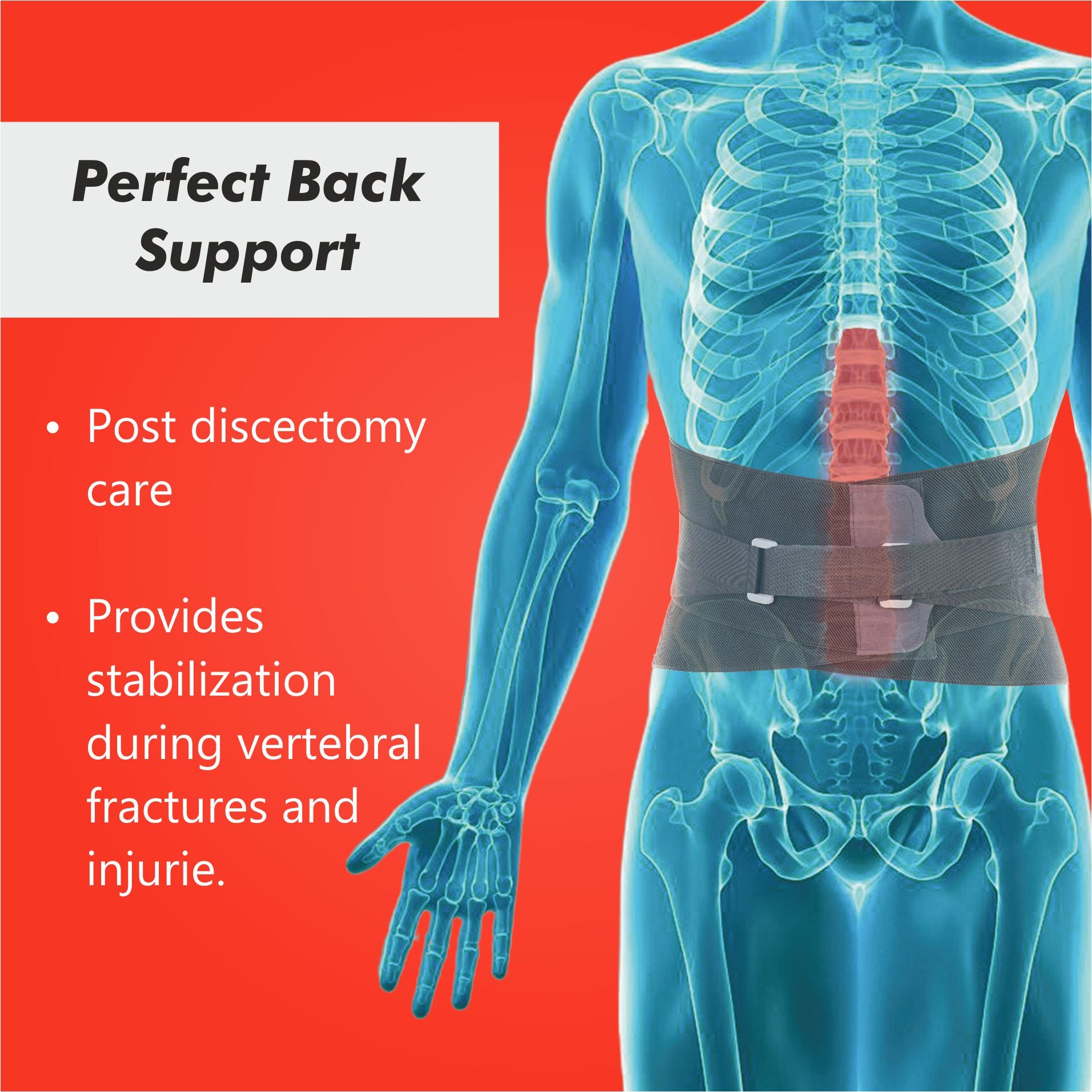 Contoured Lumbo Sacral Support ECO