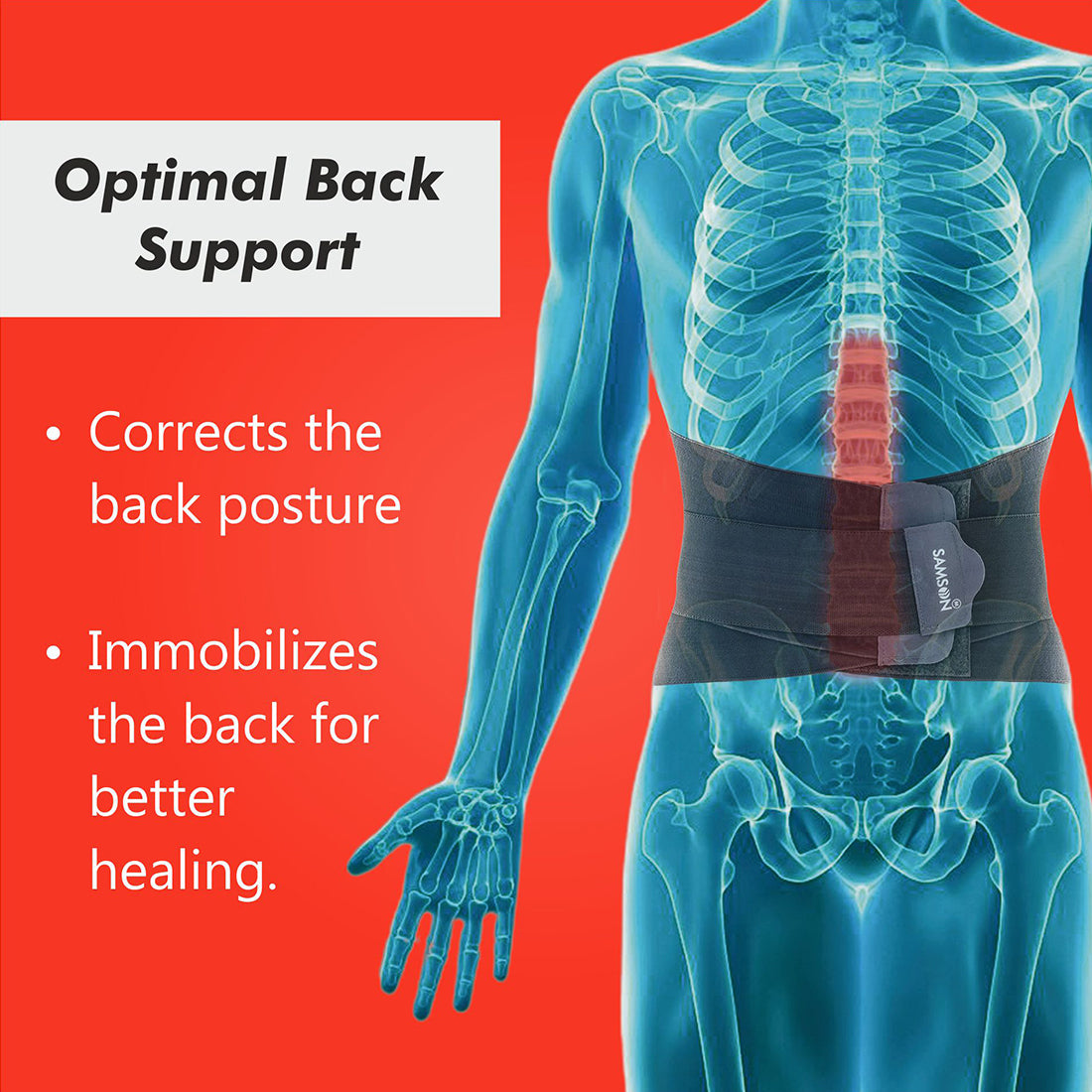 Lumbo Sacral Belt (Double Support)