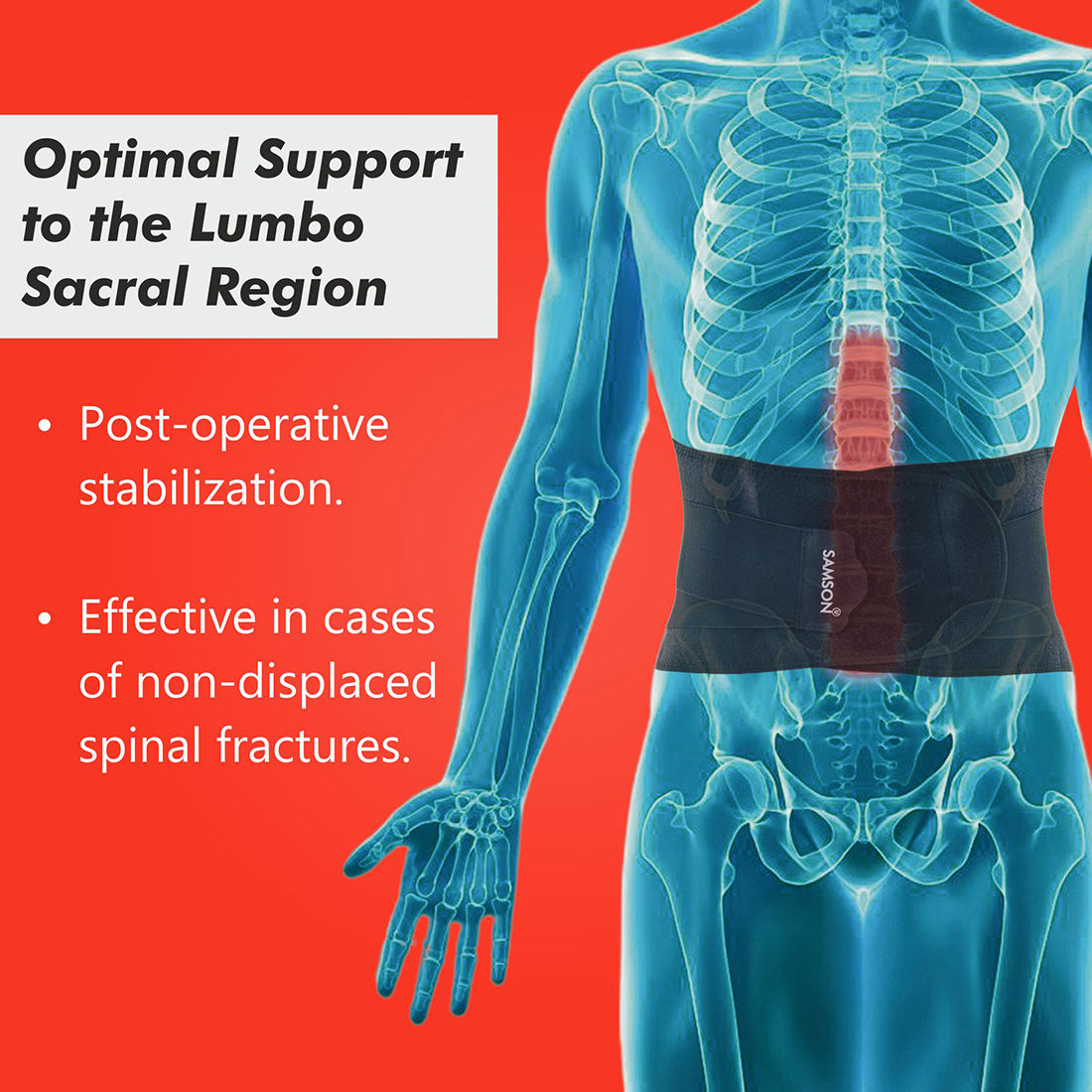 Lumbo Sacral Belt (Lumbomed)