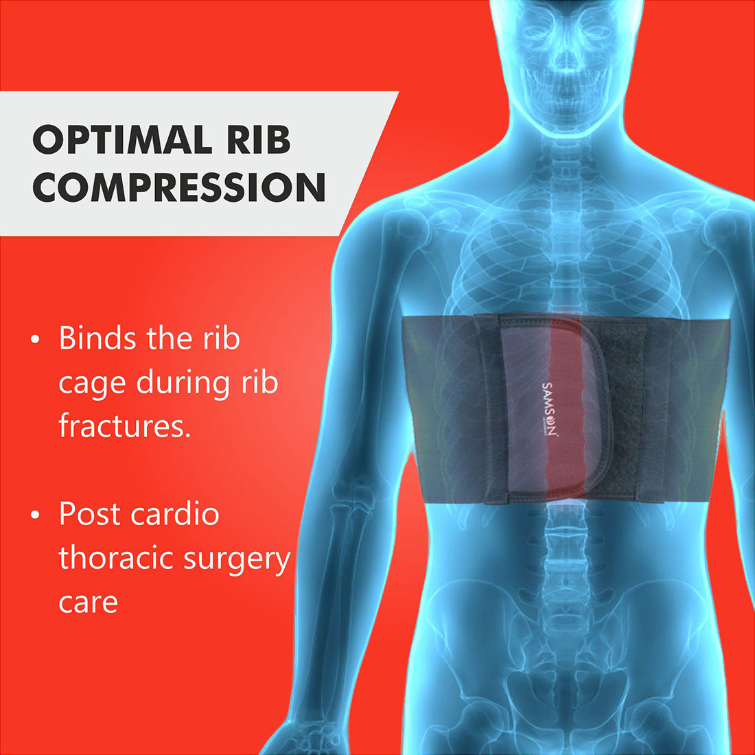 Rib-Belt